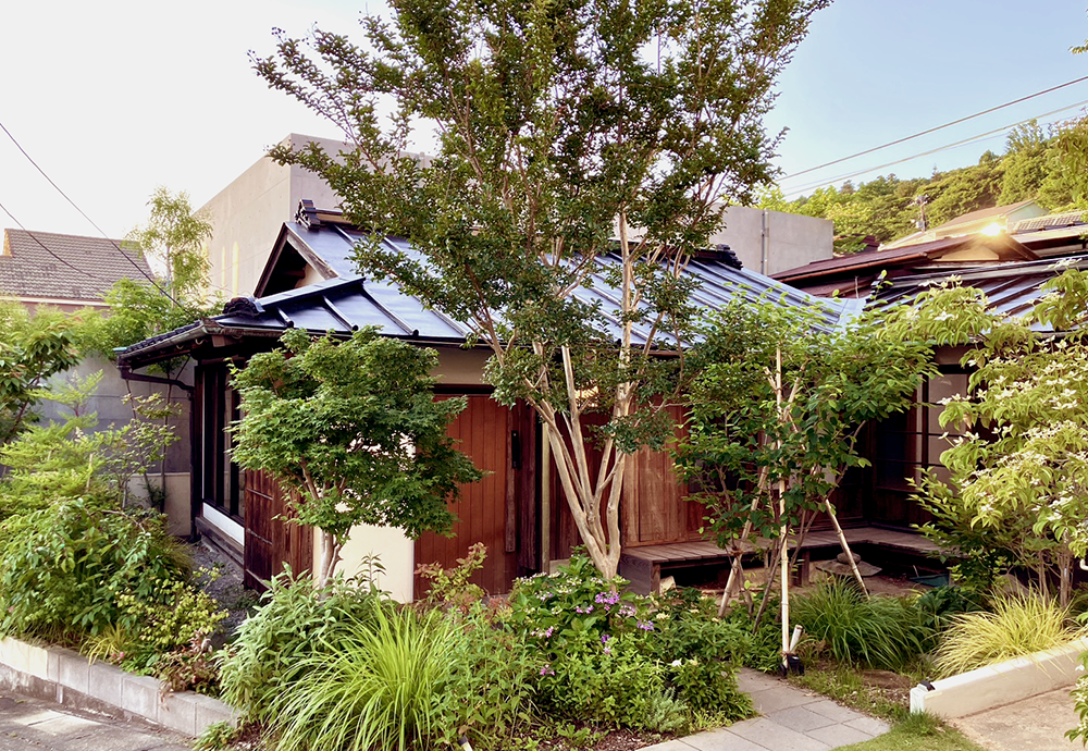 和宿五二〇 緑青